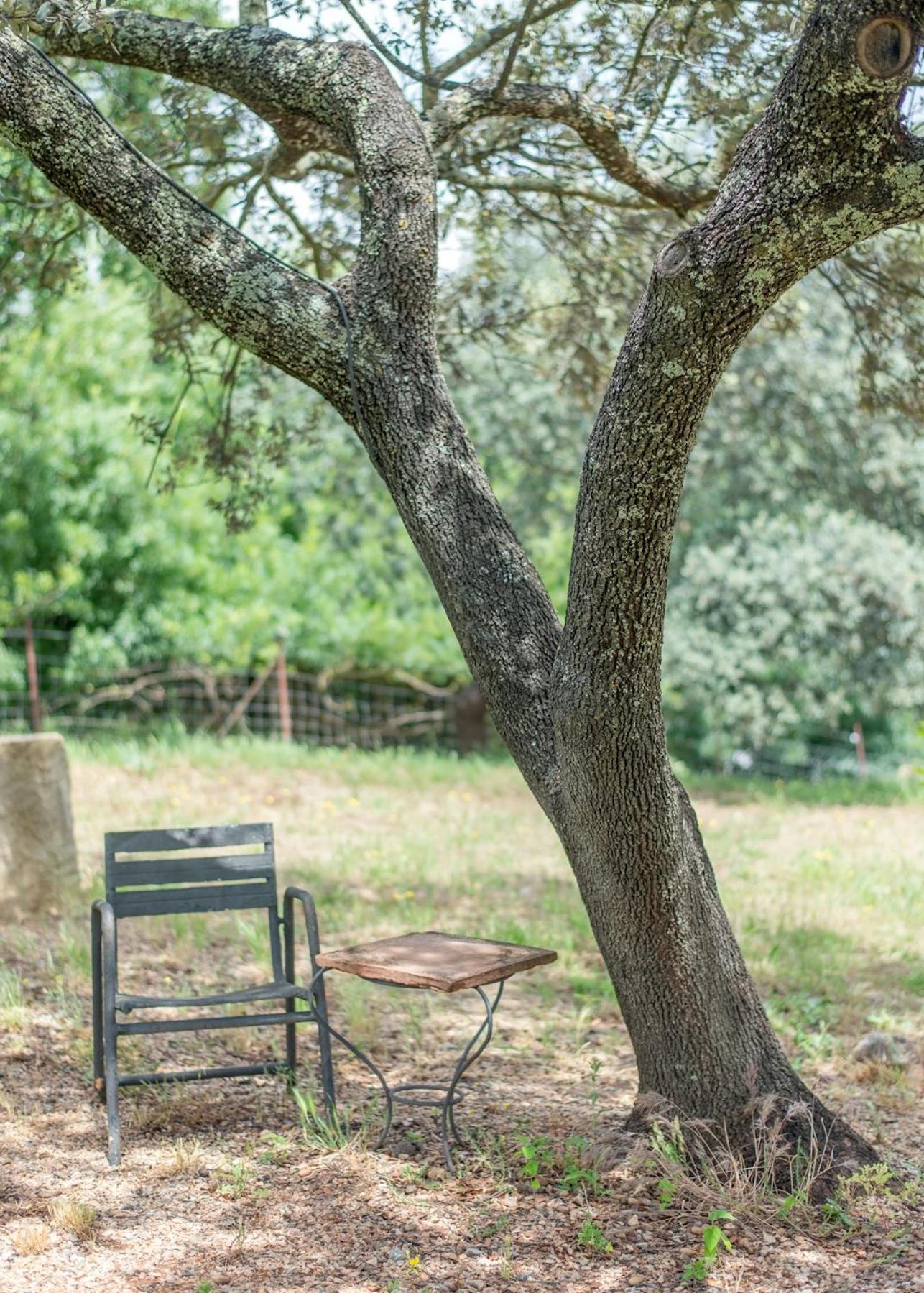 בית הארחה אל פדרוסו 	La Umbria De La Ribera מראה חיצוני תמונה